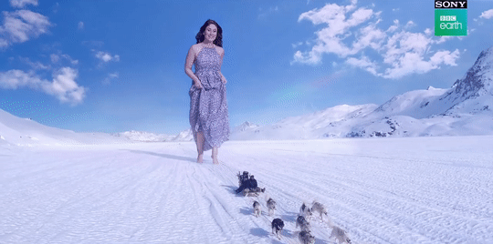 Giant woman chasing a sled-dog team across a snowy plain underneath a blue sky.