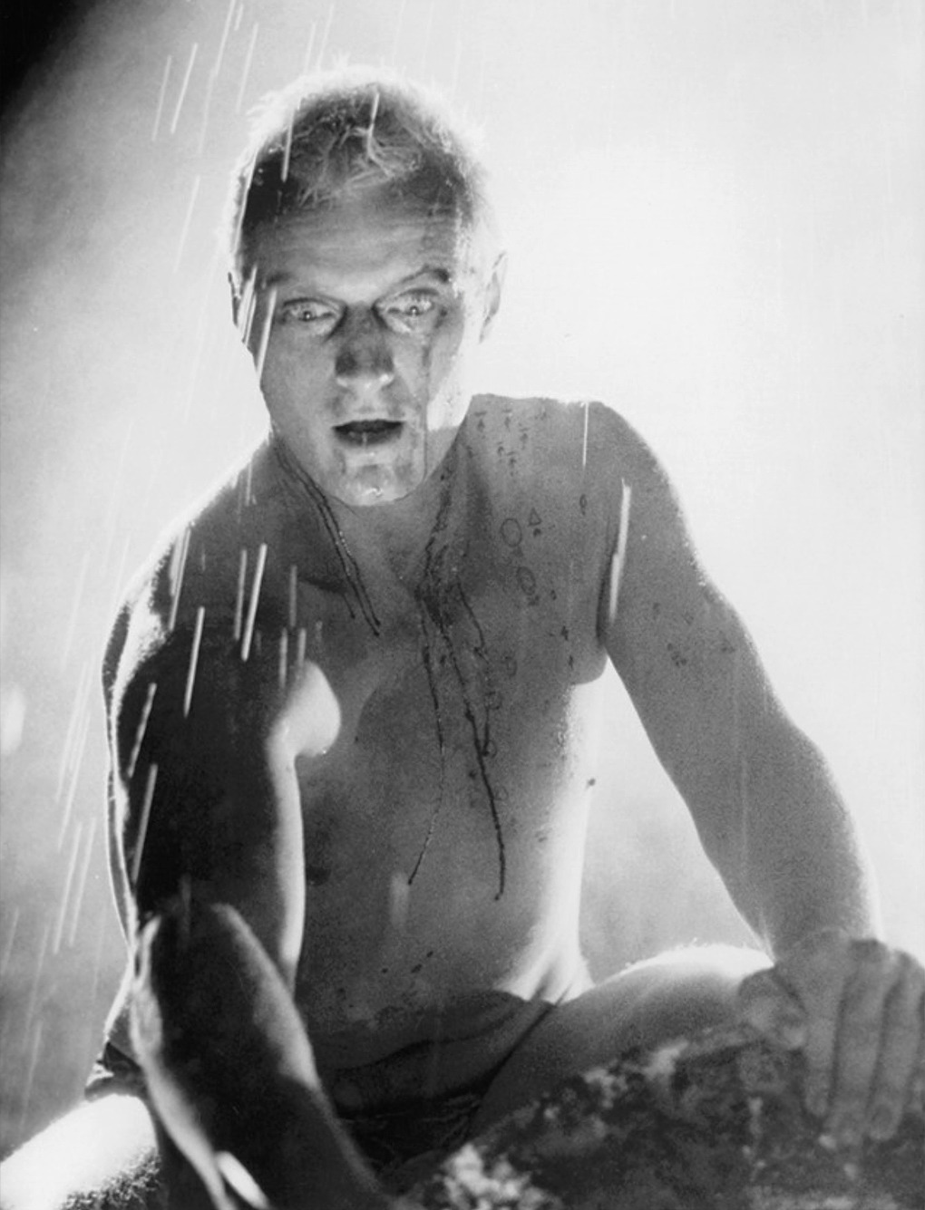 tumblr_pv5r4rTzZi1x6m6njo1_1280